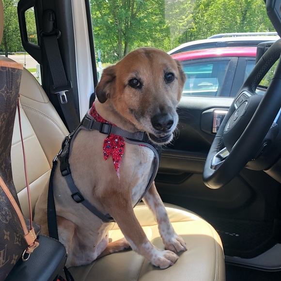 welcome 🤍 - Picture 3 of 5